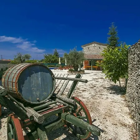 Ambrogino